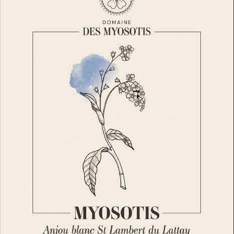 Domaine Des Myosotis | RAW WINE